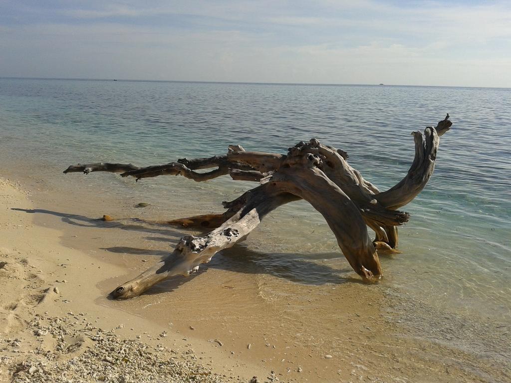 Putri Homestay Gili Meno Exterior foto